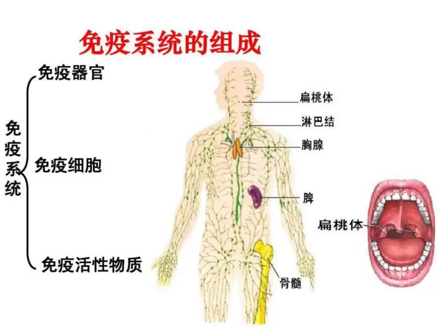 微信图片_20220822105021.jpg